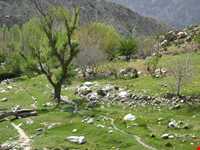 منطقه نمونه گردشگری دلفارد جیرفت