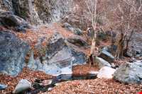 منطقه نمونه گردشگری دلفارد جیرفت