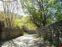 منطقه نمونه گردشگری دلفارد جیرفت