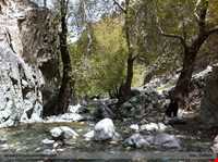 منطقه نمونه گردشگری دلفارد جیرفت