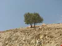 روستای سوسن سرخاب