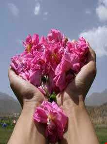 روستای لاله زار