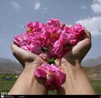 روستای لاله زار