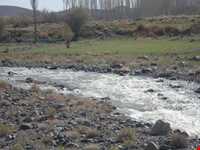 چشمه آبگرم لاله زار