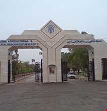 بازارعبدالحمید