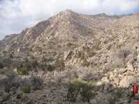 کوه علم شاه