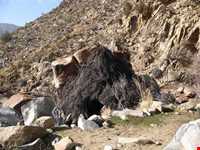 کوه علم شاه