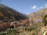 کوه علم شاه