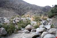 آبشار وروار