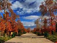 باغ شاهزاده ماهان