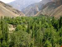 روستای رامه