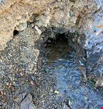 چشمه معدنی شورآب