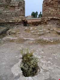 آتشکده چهار قاپی