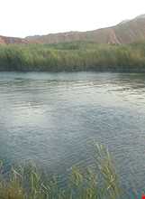 چشمه معدنی تلخ آب