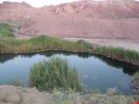 Mineral springs of bitter water