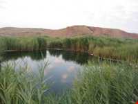 Mineral springs of bitter water