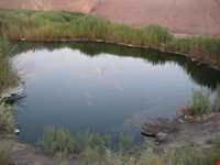 Mineral springs of bitter water