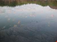 Mineral springs of bitter water