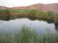 Mineral springs of bitter water