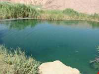 Mineral springs of bitter water