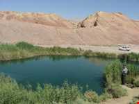 Mineral springs of bitter water