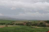 forest Of dasht shad