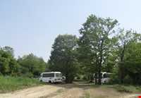 forest Of dasht shad