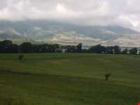 forest Of dasht shad