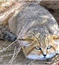 پارک ملی کویر