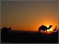 پارک ملی کویر