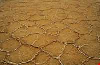 پارک ملی کویر