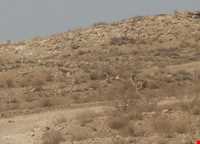 پارک ملی کویر