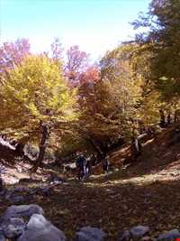 Nam Nik Forest And waterfall