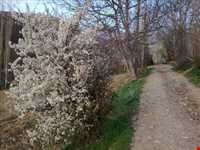 Nam Nik Forest And waterfall