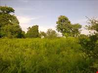 Nam Nik Forest And waterfall