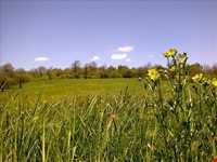 Nam Nik Forest And waterfall