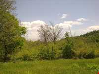 Nam Nik Forest And waterfall