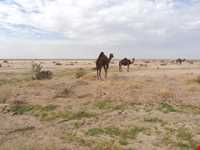 Hamun-e- Jaz Muriyan ( Jazmuriyan Lake )