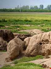 تپه‌های قدیمی الوند