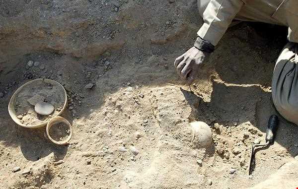 تپه چغا گاوانه