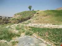 تپه چغا گاوانه