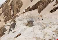 منطقه گردشگری دالانی