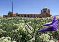 Emamzadeh Shahzade Hossein