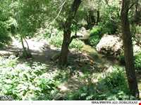 روستا و آبشار چناقچی علیا