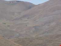 Kharaghan hunting prohibited region