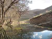 Kharaghan hunting prohibited region