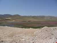 Kharaghan hunting prohibited region