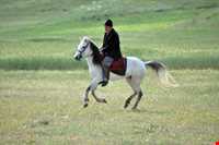 زبان و گویش مردم گلستان