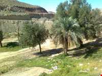 Shrine Of bibi hakimeh