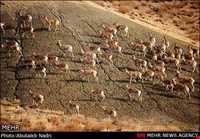 Mrakan protected area